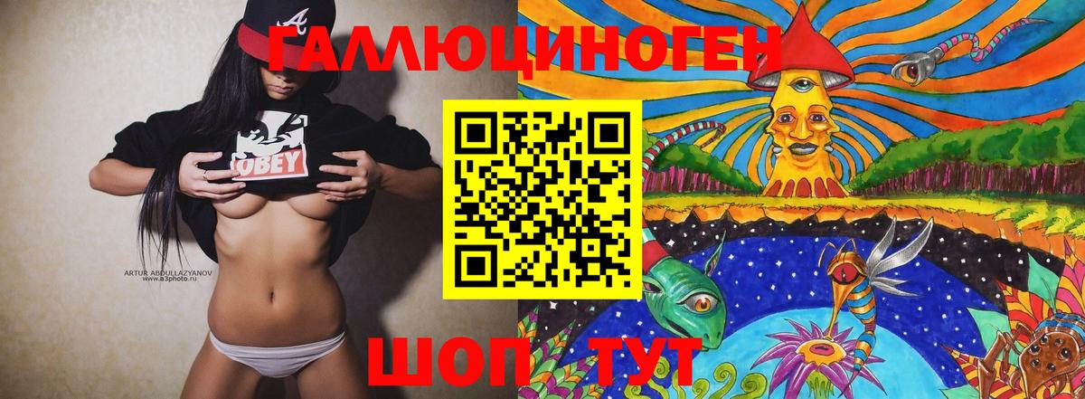 Галлюциногенные грибы Psilocybine cubensis Геленджик