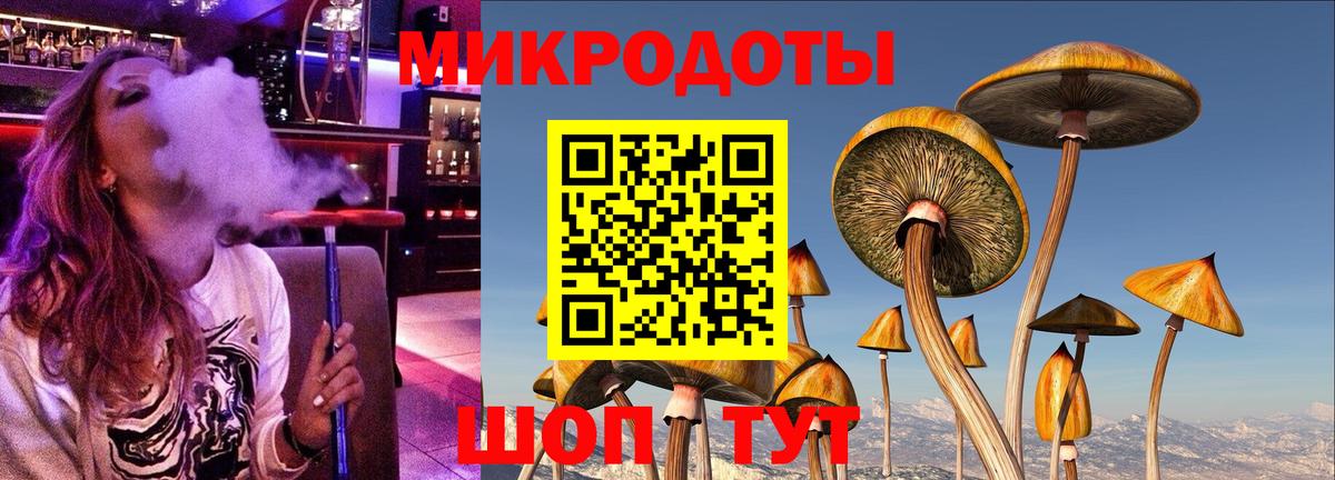 Галлюциногенные грибы Psilocybine cubensis  Вход с VPN  Геленджик 